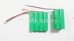NiMH AAA 4.8V 900mAh Battery Pack